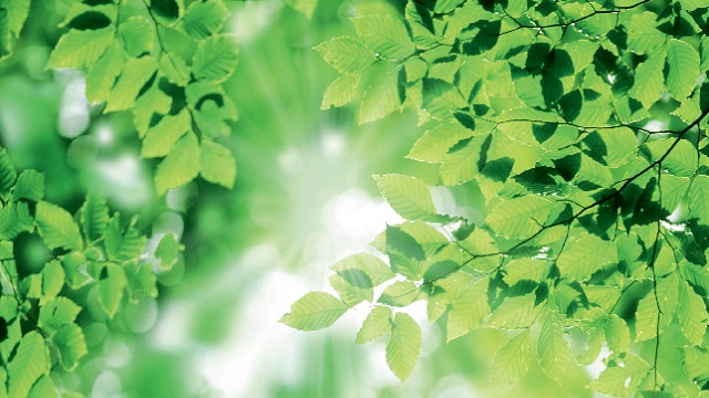 Alfa Laval sustainability